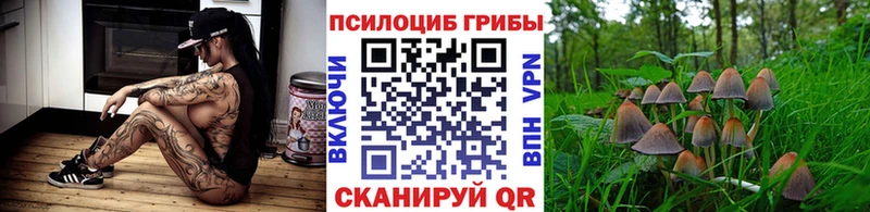 Псилоцибиновые грибы ЛСД наркота Инсар